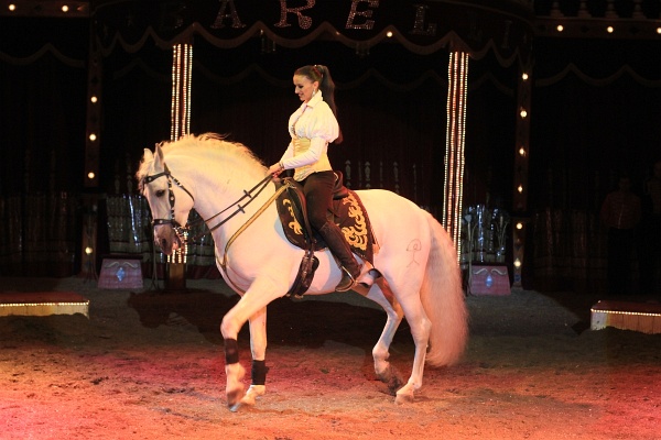 Circus Barelli   025.jpg